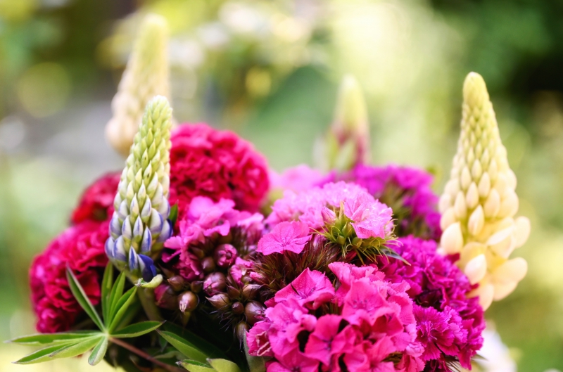 fleuriste-CHATEAUNEUF D ENTRAUNES-min_flowers-5369794